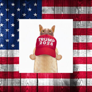 Trump sells ‘Trump 2028’ hats, fueling third-term speculation